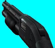 cruisin_243.png