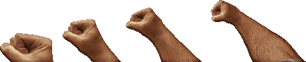 dukepung.png